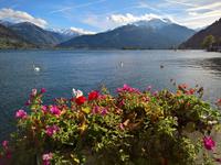 Traumhafter Blick über den Zeller See.