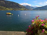 Zwei Schwäne auf dem See vor einer Alpenkulisse.