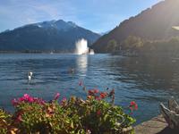 ... und noch einmal der Blick zu den Wasserspielen mit Musik ...