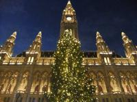 Christkindelmarkt am Rathaus
