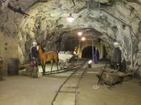 Rundgang in der Seegrotte