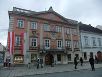 Das Rathaus von Wiener Neustadt