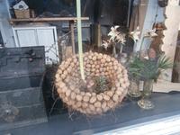 Appenzell Weihnachtsdeko