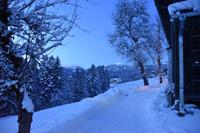 044 Abtenau, Abend in Abtenau mit Osterhorngruppe