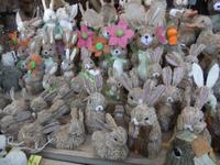 Wir treffen viele Häschen...