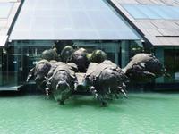 Salzkammergut - RedBull