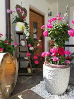 Reise ins Brixental/Tirol - Söll