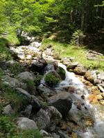 Reise ins Brixental/Tirol - Söll - Wochenbrunneralm