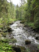 Reise ins Brixental/Tirol - Kelchsau mit Almkäserei Niederkaser