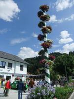 Der Blumenbaum in Haus