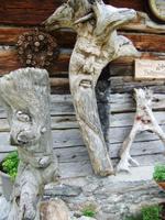 Wir entdecken so manchen Wurzelmann