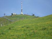 Kitzbühler Horn