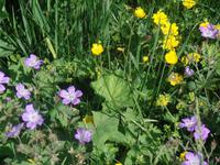 Blick von der Raxalpe