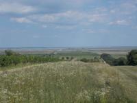 DSCN1452  Blick Neusiedler See