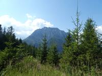 Blick auf den Traunstein