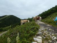 Feuerkogel - Wanderung zum Europakreuz