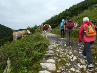 Feuerkogel - Wanderung zum Europakreuz