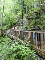 Rindbach-Wasserfälle