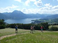 Blick auf den Traunstein