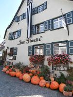 Ulm Fischerviertel an der Blau