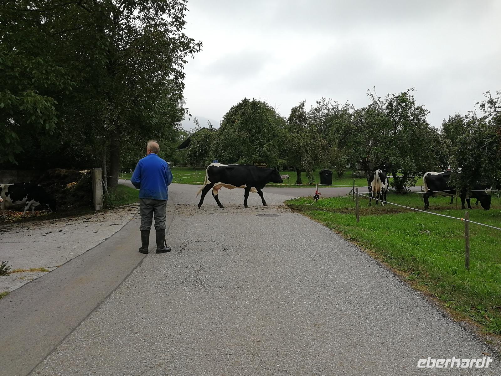 Radtour im Salzkammergut