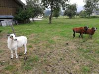 Radtour im Salzkammergut