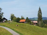 Bergbahnfahrt auf den Pfänder (3)