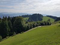 Bergbahnfahrt auf den Pfänder (4)