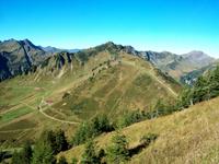 Auf dem Walmendinger Horn