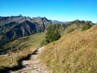 Auf dem Walmendinger Horn