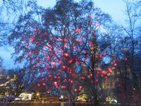 Weihnachtsmarkt am Rathaus