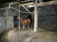 Seegrotte Hinterbrühl