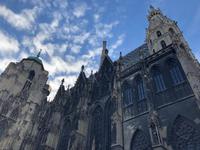 Wien - Stadtbesichtigung - Stephansdom