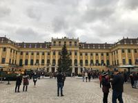 Schloss Schönbrunn Wien Neujahrsmarkt 2019