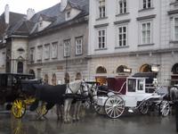 Fiaker in Wien
