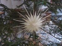 Mariazell - typische für die Steiermark Strohsterne