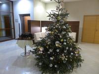 Hotel Liebmann - Weihnachtsbaum