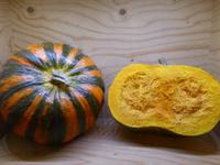 Genussregal - steirischer Ölkürbis