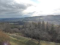 Pöllauberg - Blick in den Naturpark