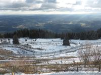 Schöckl - Sommerrodelbahn