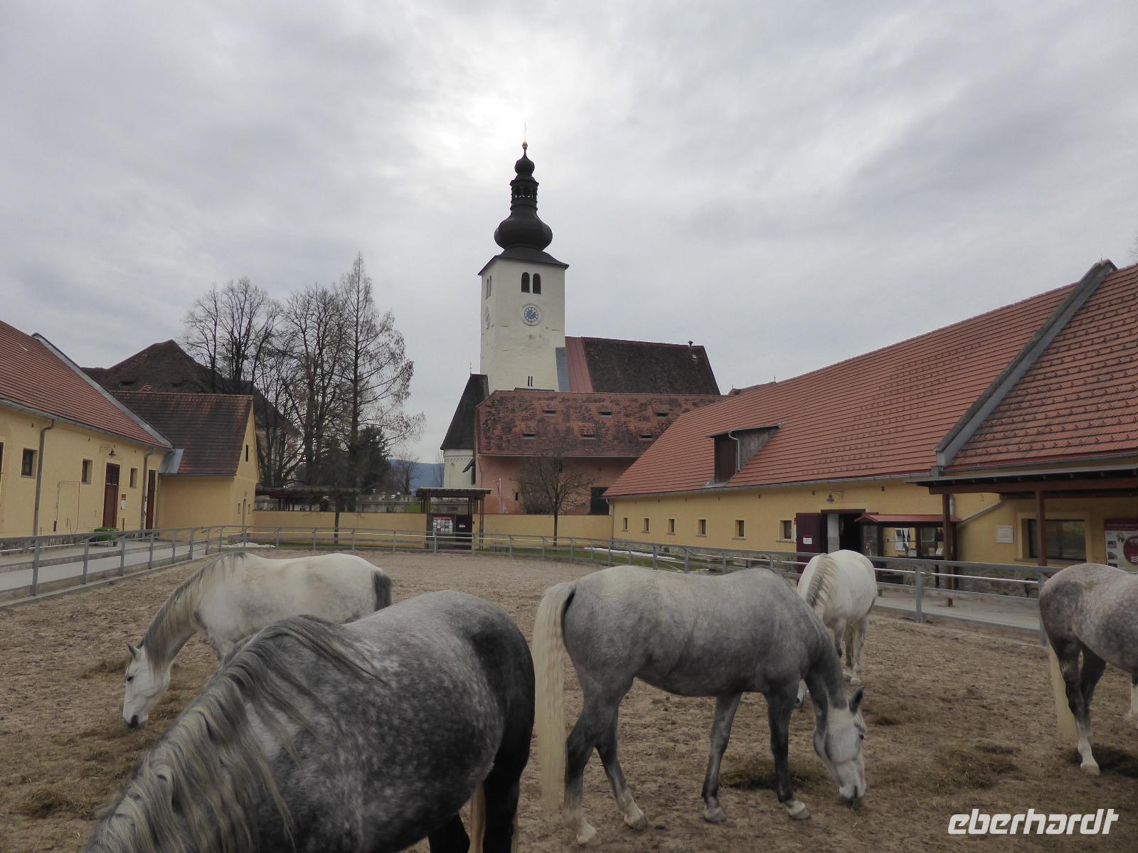 Piber -Lippizanergestüt 