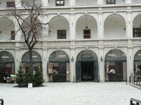 Auch bei den Lipizzanern ist weihnachtlich geschmückt