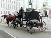 Fiaker am Josefsplatz