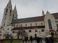 Der Dom von Wiener Neustadt