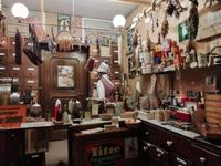 Im Heimatmuseum Traiskirchen