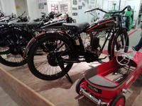 Im Heimatmuseum Traiskirchen