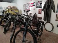 Im Heimatmuseum Traiskirchen