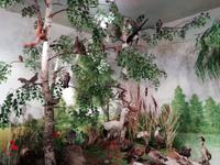 Im Heimatmuseum Traiskirchen