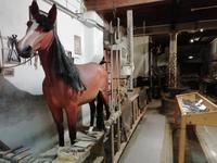 Im Heimatmuseum Traiskirchen