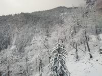 Blick aus der Raxseilbahn